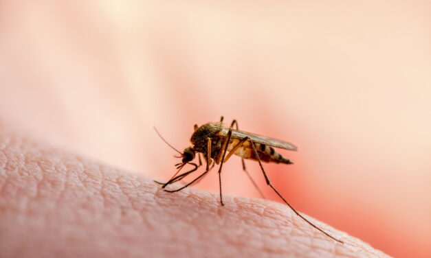 Wereld Malaria Dag